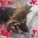 Lorraine Ehrhardt - Facebook