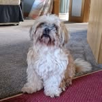 Lorraine Ewing - @alewing1972 - Instagram