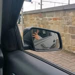 Lorraine Fallon - @tanko_nadey - Instagram
