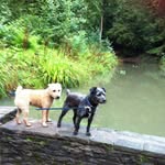 Farley44 - @lorrainefarley8026 - Instagram