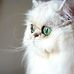 Lorraine Findlay - Facebook