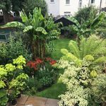 Lorraine Findlay - @lorraine_findlay_gdn_designs - Instagram
