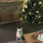 Lorraine Finney - @elfinlair - Instagram