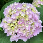 Lorraine First - @lorraine.first - Instagram