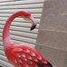 Lorraine Fleck - Facebook