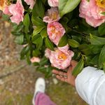 Lorraine Divine Flowers - @lorraineflowers14 - Instagram