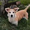 lorraine foley - @lorraine.foley8 - TikTok