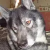 Lorraine Foley - @lorraine.foley49 - TikTok