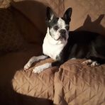 Lorraine Forcier - Facebook
