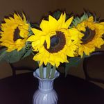 Lorraine Forster - @lorraineforster398 - Instagram