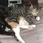Lorraine Schultz Forster Tighe - @schultzforstertighe - Instagram