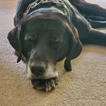 Lorraine Frederick - @lorraine.frederick.35 - Instagram