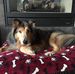 Lorraine Frederick - Facebook
