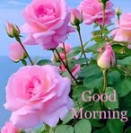 Lorraine Gladney - Facebook