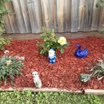 Lorraine Greer - @lorrainegreer86 - Instagram
