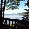 lorrainegrier8 - @lorrainegrier8 - TikTok
