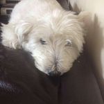 Lorraine Griggs - @lorrainegriggs - Instagram