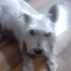 lorrainegriggs0 - @lorrainegriggs0 - TikTok
