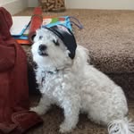 Lorraine Guay - @lorraineguay - Instagram