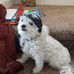 Lorraine Guay - Facebook