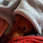 Lorraine Hackett - @ljhackett6 - Instagram