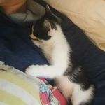 Lorraine Hackett - @_lorraine_hackett_ - Instagram
