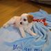 Lorraine Handley - Facebook