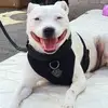 lorrainehandley82 - @lorrainehandley82 - TikTok