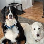 Lorraine Kings-Hartman - @kingshartman - Instagram