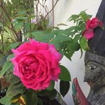 Lorraine Hearne - @lorraine_hearne - Instagram