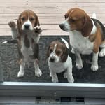 Lorraine Heller-Saldarini - @lhellersaldarini - Instagram