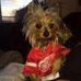 Lorraine Hester - Facebook