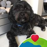 Lorraine Hope - @lorraine.hope.16 - Instagram