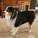 Lorraine Houle - Facebook
