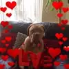 Lolly - @lorrainehouse - TikTok