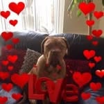 Lorraine House - @lorraine.house2 - Instagram