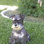 Lorraine Huff - @lorraine.huff.986 - Instagram