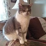 Lorraine Huffman - @lorrainehuffman2 - Instagram