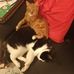 Lorraine Hurst - Facebook