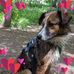 Lorraine Hurst - Facebook