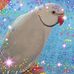 Lorraine Innes - Facebook
