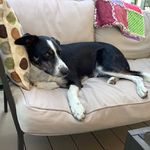 Lorraine Isaac - @quilting_nanny - Instagram
