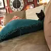 Lorraine Jacobs - @lorraine.jacobs1 - TikTok