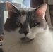 Lorraine Joly - Facebook