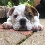 Lorraine Jones - @_lorraine_jones - Instagram