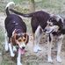 Lorraine Jones - Facebook