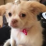 Lorraine Keenan - @lorrainekeenan6156 - Instagram