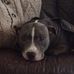 Lorraine Kendall - Facebook