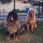 Lorraine Kendall - @kendalllorraine - Instagram