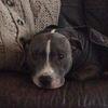 Lorraine Kendall - @lorraine.kendall3 - TikTok